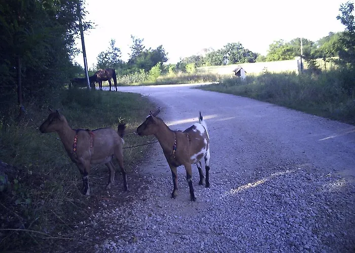 Charmante Dependance Casa de Férias Caussade