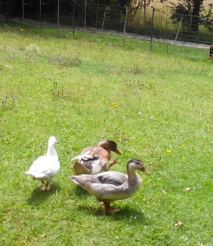 Charmante Dependance