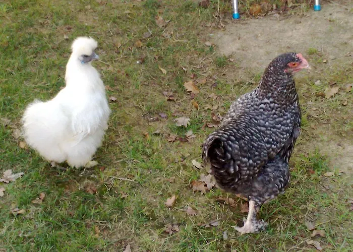 Charmante Dependance