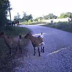 Charmante Dependance Prázdninový dům Caussade