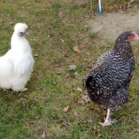 Charmante Dependance